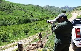 محیط‌بانان و جنگل‌بانان ضابط خاص دستگاه قضایی