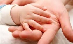 مرکز درمان ناباروری عسلیان راهاندازی میشود