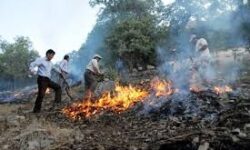 کاهش ۵۰ درصدی حریق در جنگل‌ها و مراتع لرستان