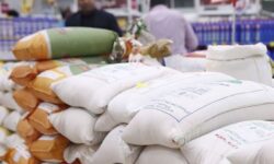 واردات ۷۰۰ هزار تن برنج؛ ثبات بازار در گرو تخصیص به‌موقع ارز