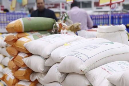 واردات ۷۰۰ هزار تن برنج؛ ثبات بازار در گرو تخصیص به‌موقع ارز