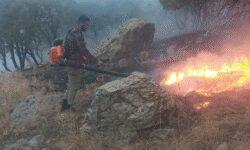 مهار شدن آتش‌سوزی منطقه سماق شهرستان چگنی