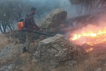 مهار شدن آتش‌سوزی منطقه سماق شهرستان چگنی