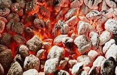 قطع درختان و زغال‌گیری؛ تهدیدی علیه جنگل‌های لرستان