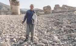 خشکیدگی کامل کشکان