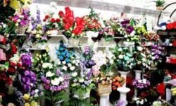 قاچاقچی گل در لرستان ۱۲۴ میلیارد ریال جریمه شد