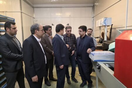 بازدید مدیر کل دیوان محاسبات استان لرستان از مزارع تکثیر، پرورش و به عمل آوری ماهی  سلسله