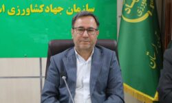 افزایش دو و نیم برابری تولیدات شیلاتی در لرستان طی یک دهه