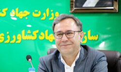 ۱۰۹ درصد تعهد تأمین گندم بذری لرستان در سال زراعی جاری محقق شد