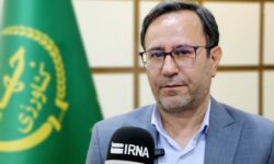 پیشبینی برداشت ۳۵ هزار تن نخود از مزارع لرستان