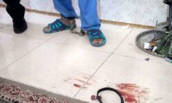 ۲۴ قتل خانوادگی در ۵۳ روز؛ پررنگ شدن مسائل مالی در انگیزه قتل‌ها