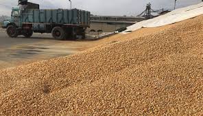 کشف انبار احتکار ۳۰ میلیارد تومان نهاده دامی در لرستان