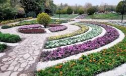 بومی‌سازی ۲۴۰ گونه گیاهی در باغ گیاه‌شناسی زاگرس