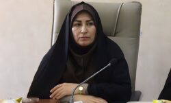 ارسال ۵۴۳ اثر به دبیرخانه جشنواره ملی داستان نویسی رضوی