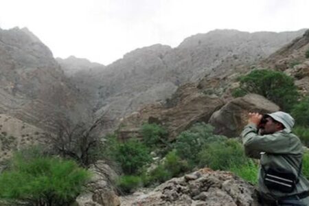 محکومان قضایی در احیای منابع طبیعی مشارکت می‌کنند