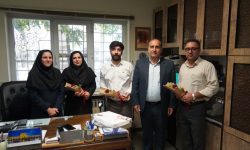 قدردانی مدیر و معاون مالی از تلاشگران روابط عمومی منطقه لرستان