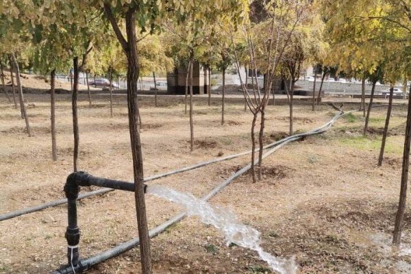 هدر رفت پنج میلیون مترمکعب آب شرب در فضای سبز لرستان