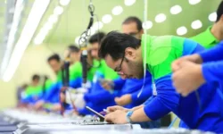 اختصاص ۱۷۰۰ سهمیه استخدامی به نخبگان